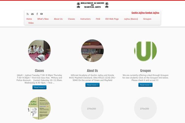 Customizr Pro theme site design template sample