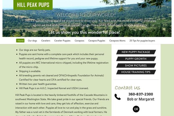 Flawless theme site design template sample