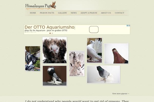 himalayanpigeon.com site used Explorer