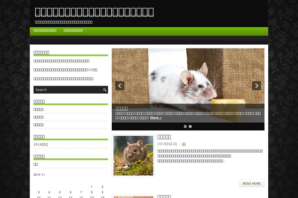 Notch theme site design template sample