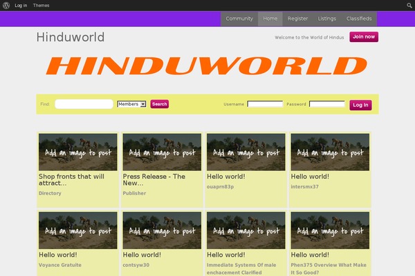 Network theme site design template sample