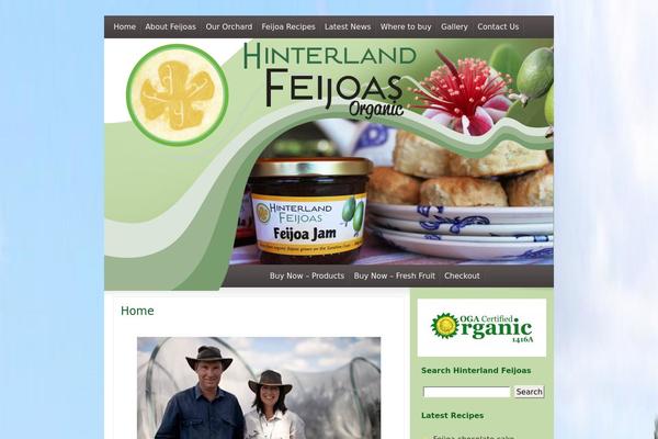 Interphase theme site design template sample