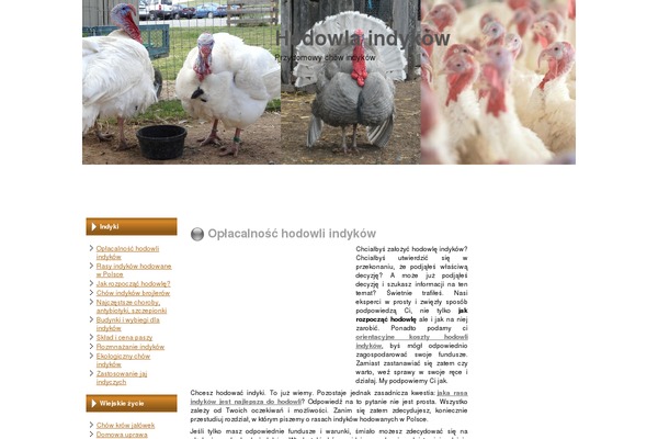 hio.com.pl site used Business_b37