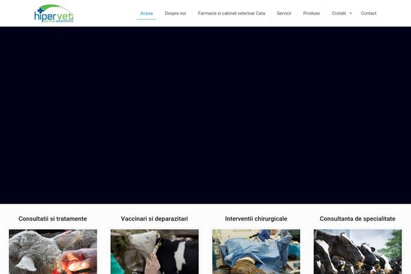 BeTheme theme site design template sample