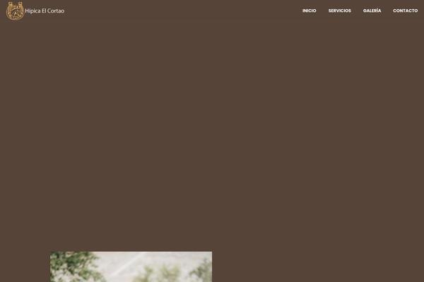 Site using Spotlight-social-photo-feeds-premium plugin