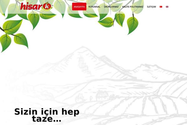 Site using Wpml plugin