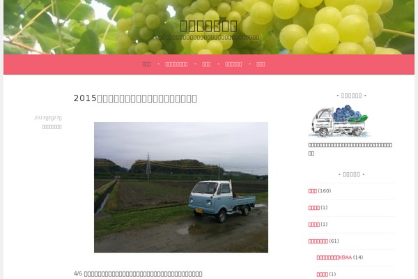 Site using Photo Express for Google plugin