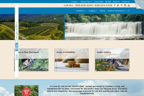 Divi Child theme site design template sample