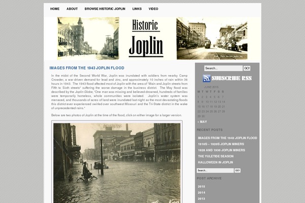 Indore theme site design template sample