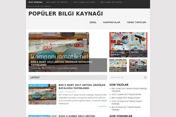 Point theme site design template sample