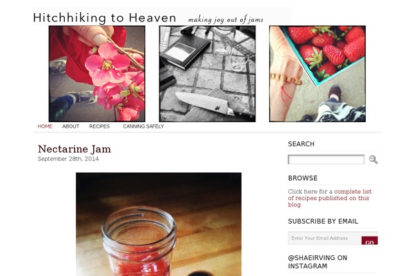 Florence theme site design template sample