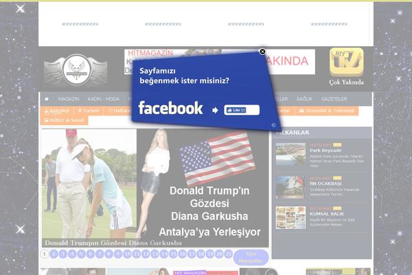 NanoMag theme site design template sample