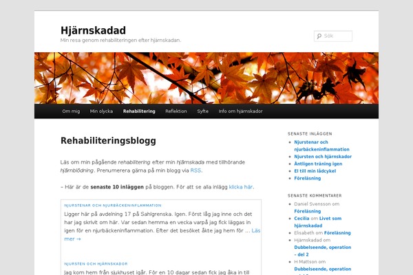 Site using Share Buttons plugin