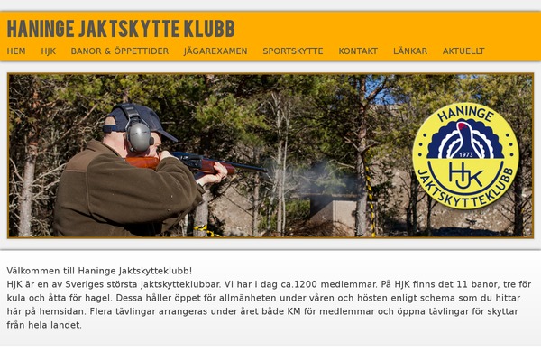 WP Opulus theme site design template sample