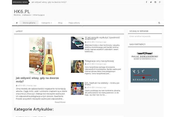 Newszine theme site design template sample