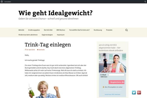 Ashe-pro-premium theme site design template sample