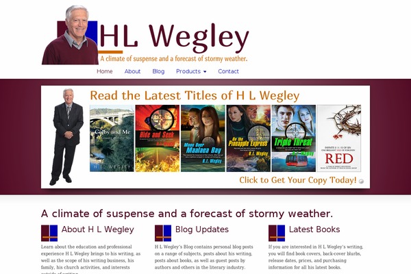 Striking theme site design template sample