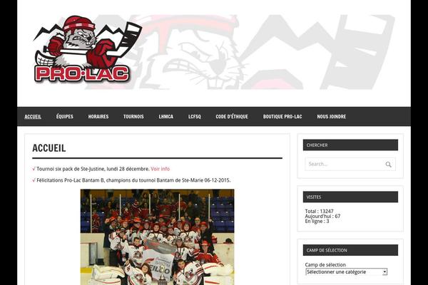 zeeDynamic theme site design template sample