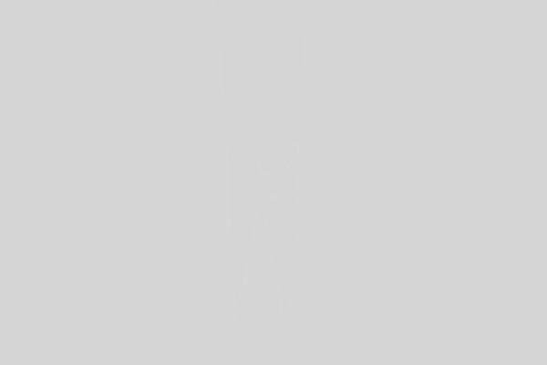 Site using Divi-essential plugin