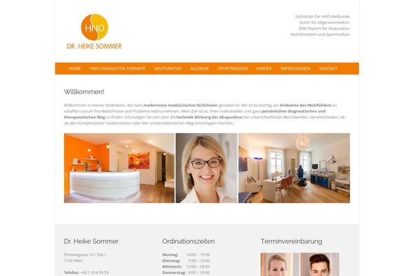 Metrolium theme site design template sample