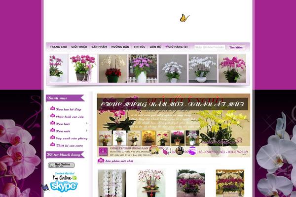 Avada theme site design template sample