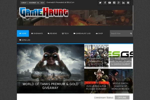 Lineza theme site design template sample