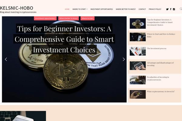 Write-blog theme site design template sample
