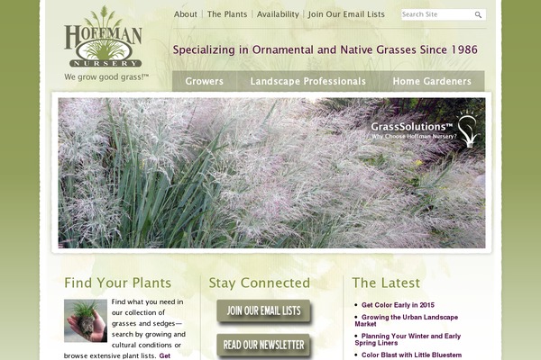Hoffman theme site design template sample