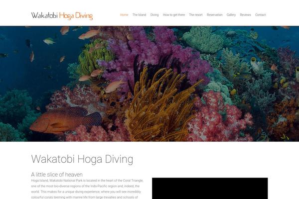 Satellite theme site design template sample