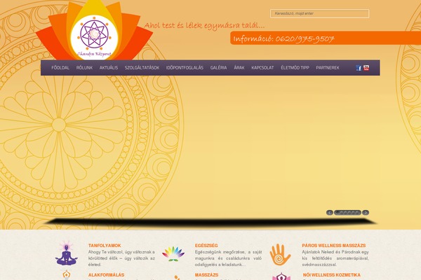 Dice theme site design template sample