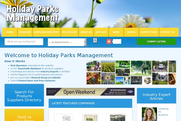 Dt theme site design template sample