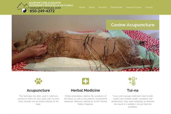 Vets theme site design template sample