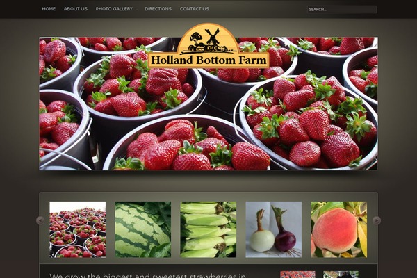 Parallelus-traject theme site design template sample