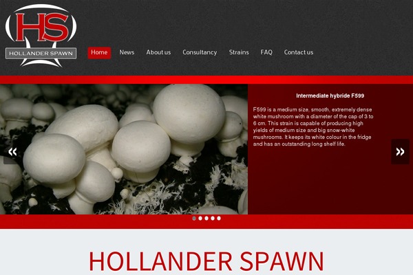 Alexandria theme site design template sample