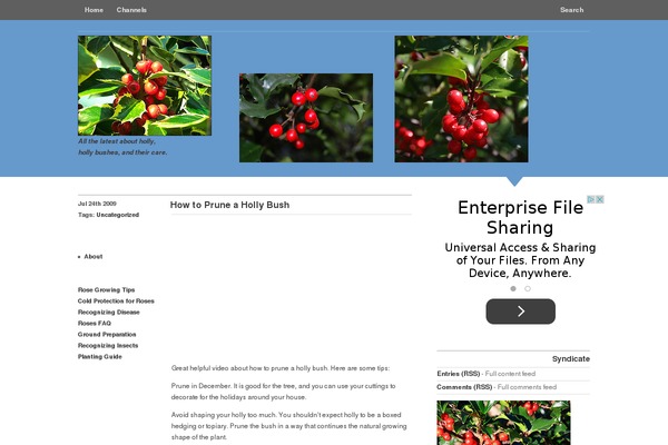 hollybushes.com site used Seotheme