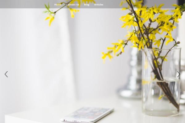 BlogCentral theme site design template sample