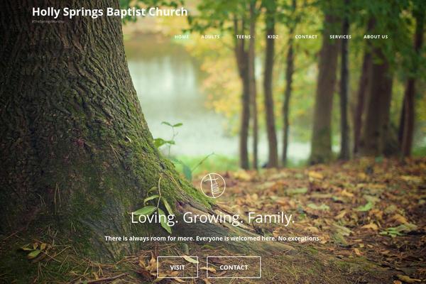 Optimizer theme site design template sample