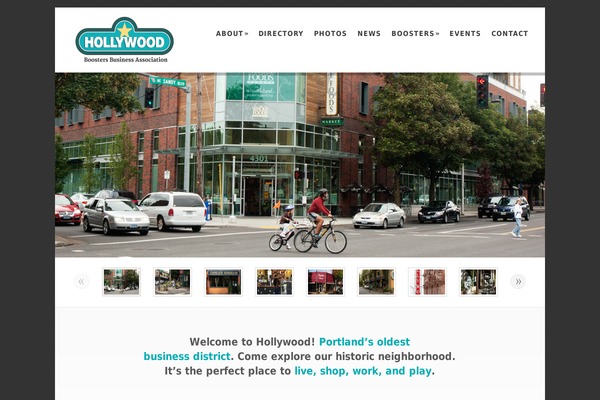 Dandelion theme site design template sample