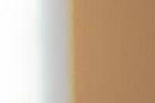 Twenty Sixteen theme site design template sample