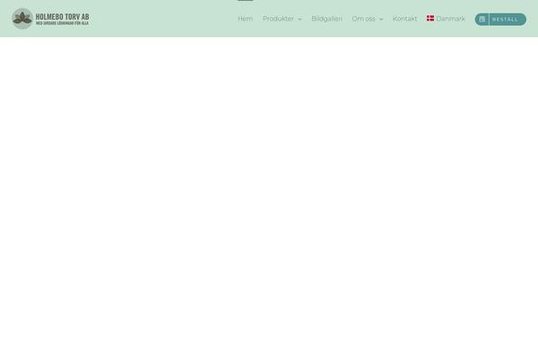 Avada theme site design template sample