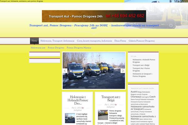 Magnificent theme site design template sample