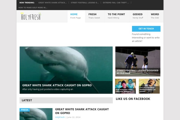 Point theme site design template sample
