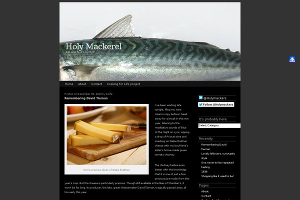 Atmosphere 2010 theme site design template sample