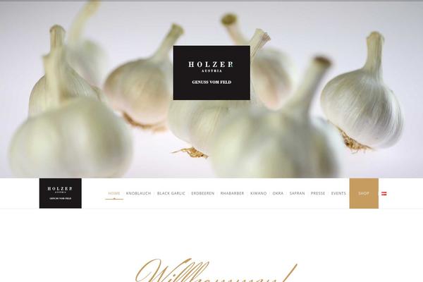 NUVO theme site design template sample