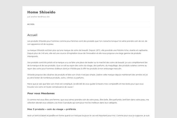Silk Lite theme site design template sample