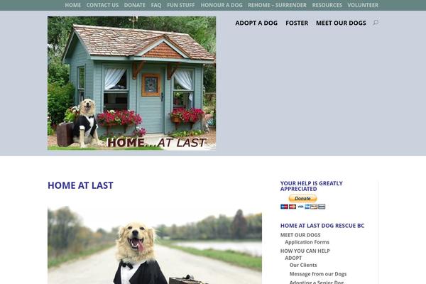 divi2.55 theme websites examples
