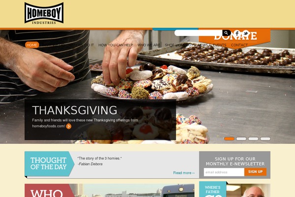Site using Wp-image-lazy-load plugin