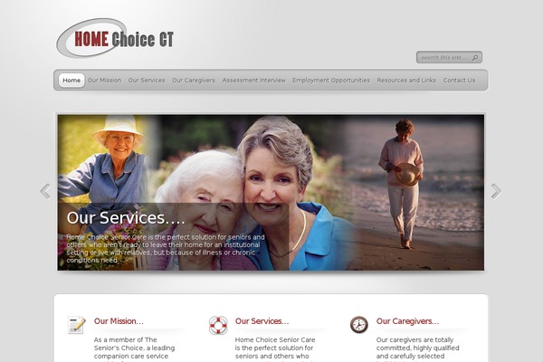 TheProfessional theme site design template sample