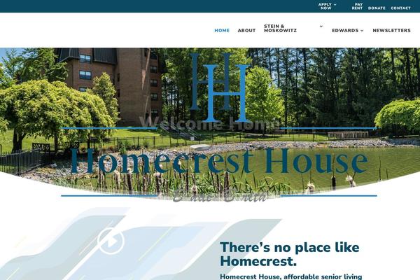 Site using Wp-and-divi-icons plugin
