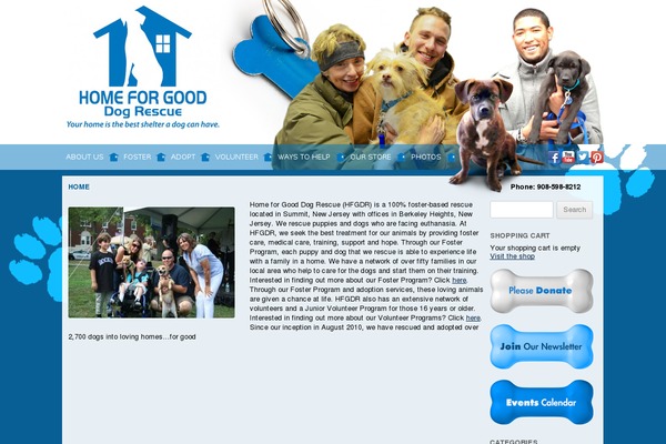 Vlm theme site design template sample